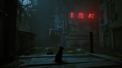 Stray про бродячего кота выйдет на PS4 — новый трейлер, детали и окно релиза 