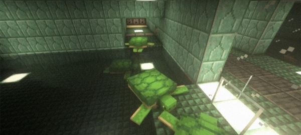 Игрок Minecraft сделал секретную дверь, которая открывается при помощи черепах